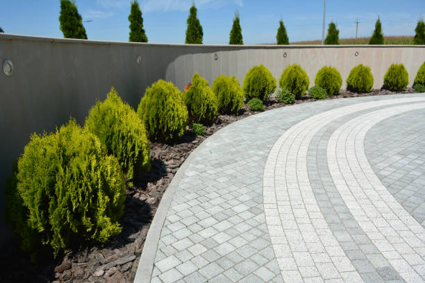 Reasons to Select Us for Your Driveway Paving Requirements in Narrows, VA
